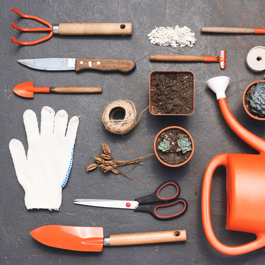 Para comenzar tu huerto en casa necesitarás algunos materiales y herramientas básicas