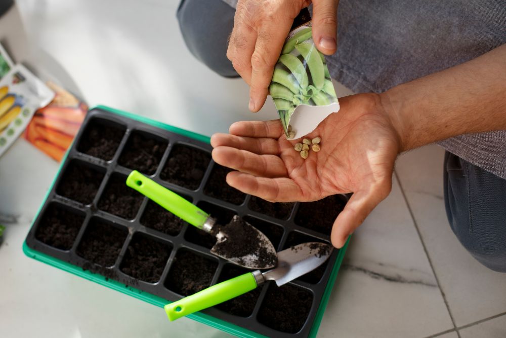 Si estás pensando en comenzar tu propio huerto en casa, aquí tienes algunas ideas sobre qué puedes sembrar para tener una cosecha exitosa.