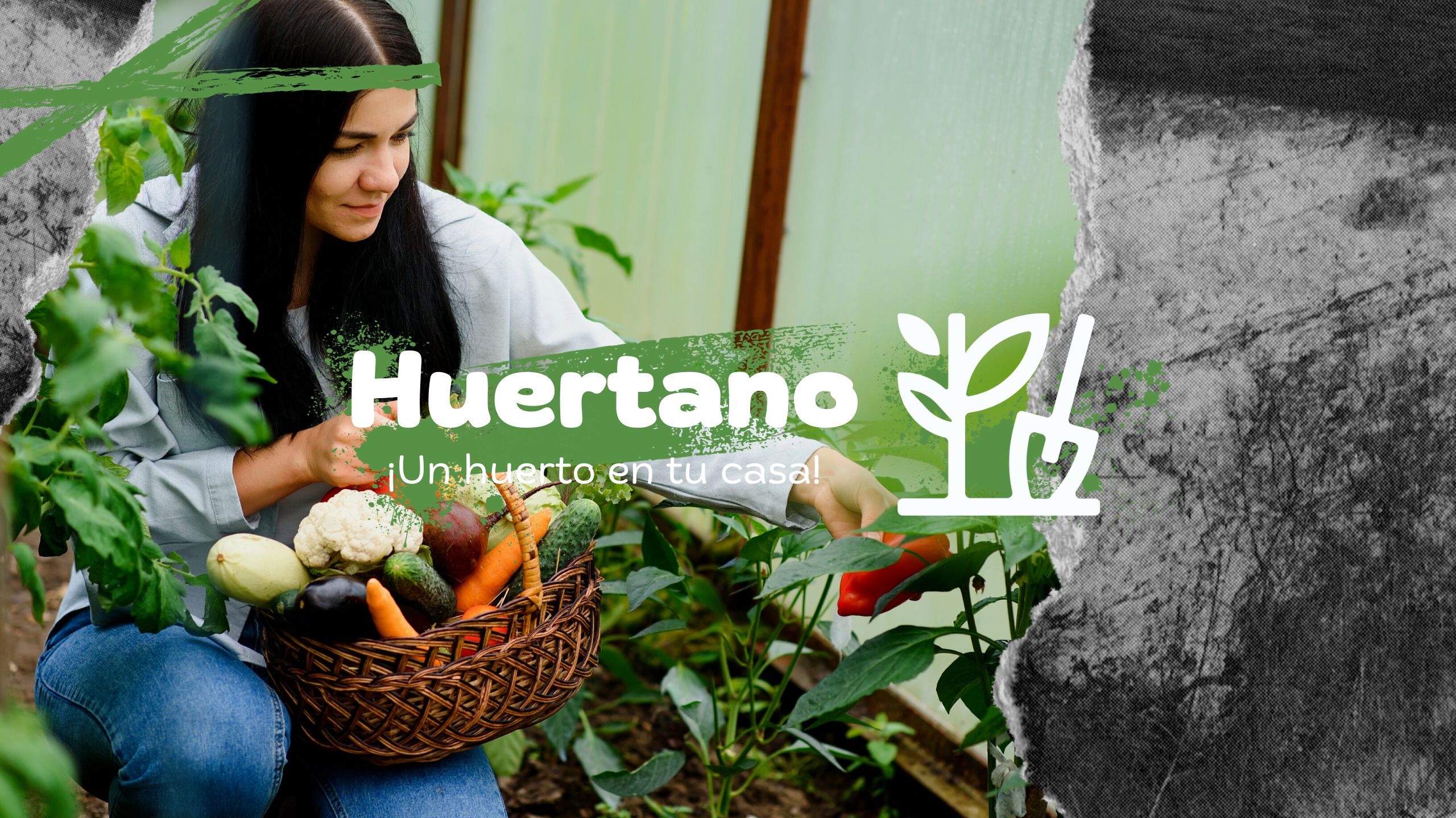 Huertano | Un huerto en tu casa